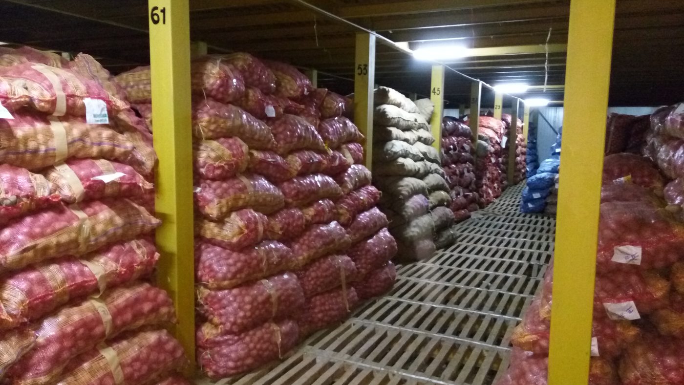 Potato cold storage