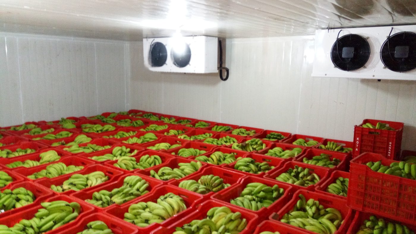 Ripening chamber